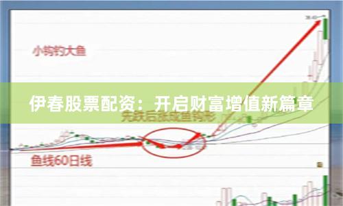 伊春股票配资:开启财富增值新篇章