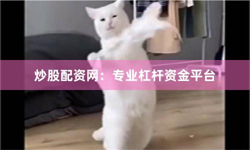 炒股配资网：专业杠杆资金平台