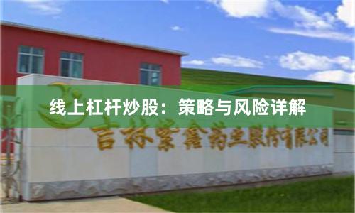 线上杠杆炒股:策略与风险详解