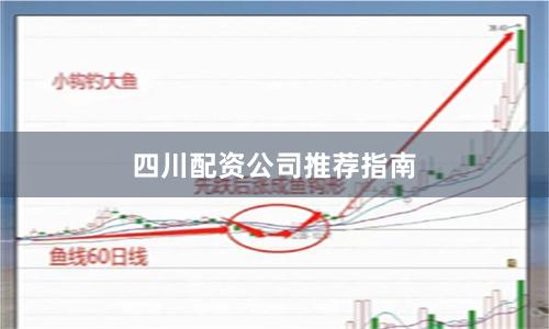 四川配资公司推荐指南